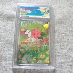 PSA10】シェイミ AR 熱風のアリーナ 066/063 - メルカリ