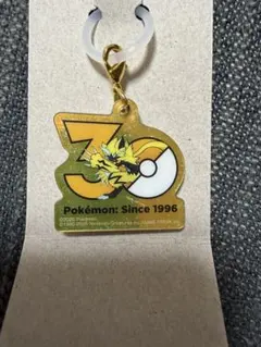 ポケモン ポケチャーム 30周年ロゴマスコット ゼラオラ