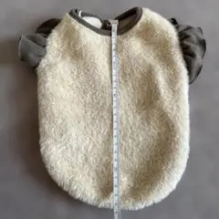 Item thumbnail for item 42d45495-6f21-4408-9c17-24e187522d9d