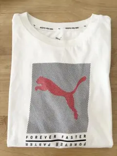 プーマ　半袖Tシャツ　グラフィックTシャツ　コットン　白　150センチ