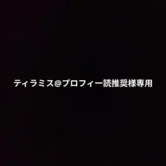 専用ページ
