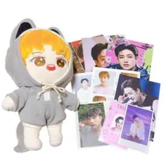 StrayKids バンチャン ぬいぐるみ ポストカード セット まとめ売り