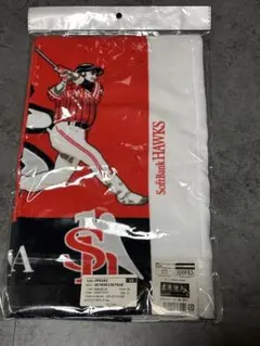 Item thumbnail for item 3a62369e-caf4-4545-947a-f8d7313be231