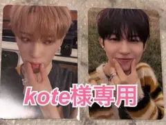 ⭐️kote様専用⭐️