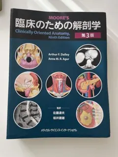 Item thumbnail for item 210b18f9-6756-4149-a7e9-e4a7141743ff