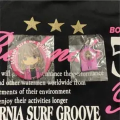 佐藤晴美缶バッジ 佐藤晴美 クリーナー 佐藤晴美缶バッチ 佐藤晴美レア