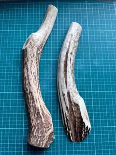 北海道産　えぞ鹿の角　半割2本入のサムネイル
