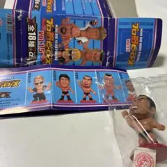 b*p様 プロ格ヒーローズ レジェンドファイター編I vol.5 19種セット プロ格ヒーローズ 坂口征二 グラン浜田 2種セット レジェンド