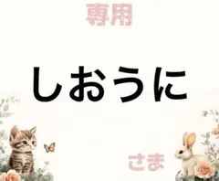 専用