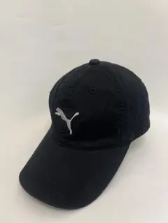 Item thumbnail for item e168fa4c-a06d-4609-96f9-8f62bb9cf2f4