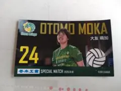 Item thumbnail for item 859309b6-3163-4220-9ff5-340b6e4d7078