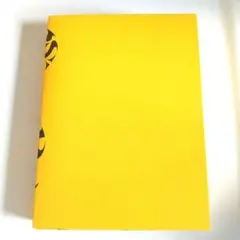 LOST CORNER 映像盤 CD/DVD 米津玄師