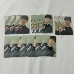 ホシ　トレカ　FML