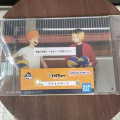 ハイキュー!! 一番くじ C賞 日向翔陽 孤爪研磨