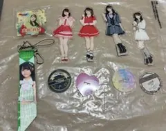 2026年最新】アイテム種別：アクリルスタンド 48グループ アクリル