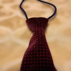 ループタイ