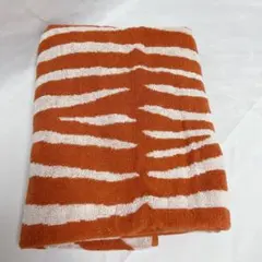 Item thumbnail for item c64a27c2-94c1-4c73-941d-0fd8c8b98c81