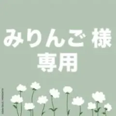 みりんご様 リクエスト 3点 まとめ商品
