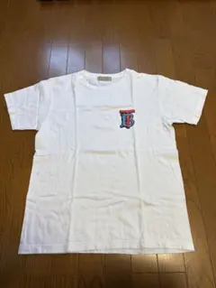 Item thumbnail for item 6505826d-1efa-44a2-b784-c8e1c7c13f45