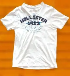 HOLLISTER ホリスター 半袖Tシャツ ロゴ刺繍 Y2K ヴィンテージ