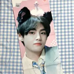 BTS 방탄소년단 태현 테테 V 슬로건 고양이