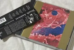 John Zorn、No Wave、Sonic Youth、Friction関連