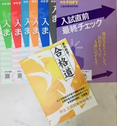 ポピー中学3年 入試対策教材セット 全家研 中学ポピー 3年 入試対策特別号①② セット【即購入可】 - メルカリ
