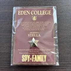 【匿名配送】SPY×FAMILY スパイファミリー展 特典 ステラ ピンズ