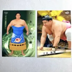 Item thumbnail for item c46623a4-cb7a-46c1-b3d4-611e9d15ef3b