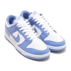 ナイキ ダンク 27cm DUNK LOW RETRO DV0833-400