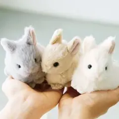 ドナ・ウィルソン Donna Wilson ぬいぐるみ ふくろう オリーブ - メルカリ