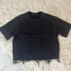 zara tシャツ