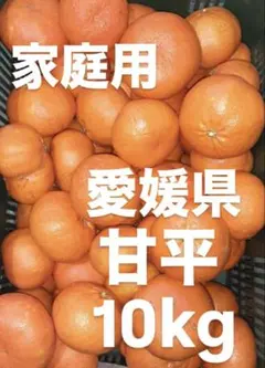 愛媛県　家庭用　甘平　柑橘　 10kg