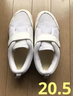 アシックス　スクスク　上履き　20.5cm