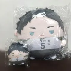 ハイキュー くじメイト ぬいくじ C賞 E賞 赤葦京治