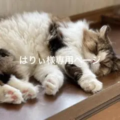 80. くろすけ2.グレーネズミ.カラス.カオナシ