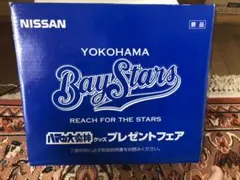 横浜ベイスターズ ハマの大魔神グッズプレゼントフェア 佐々木主浩