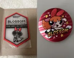 パワーパフガールズ 刺繍缶バッジ クリアラバーコースター ブロッサム