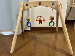 ムジーナ