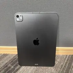 美品 iPad Pro 11 M4 512 スペースブラック Cellular