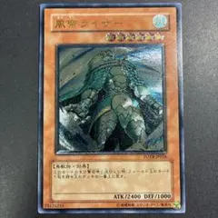 遊戯王 風帝ライザー レリーフ FOTB-JP026 - メルカリ