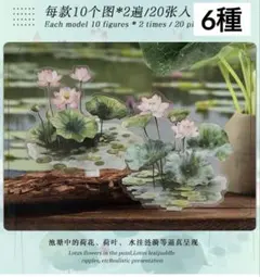 5B- 9／コラージュ素材　シール　ステッカー　セット　まとめ売り　池　白鳥　4