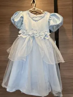 プリンセス　シンデレラ　ドレスごっこ　110