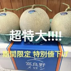 優品 超特大!!!! 「品種：ティアラ」 北海道アサヒメロン3玉 8キロ