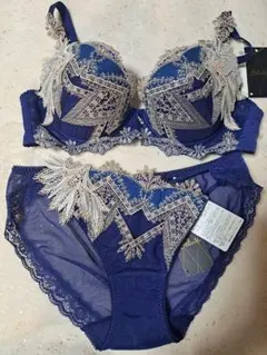 ワコール　サルート　７９グループ サルート ワコール wacoal salute PTJ794 94シリーズ ショーツ