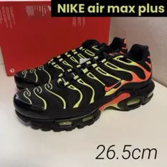 25cm ナイキ エアマックスプラス 