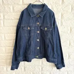 ナチュラルビューティーベーシック/Gジャン/デニム/コットン/L/ブルー/薄手