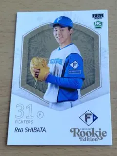 2025年最新】bbm ルーキーエディション 柴田の人気アイテム - メルカリ