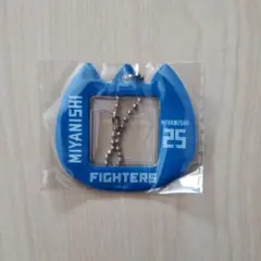 Item thumbnail for item e2c85a8f-cd9d-438e-86ab-ac183954884d