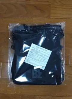 Item thumbnail for item 95886de7-a373-4e57-b607-8f94c756a520